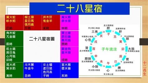 長生|長生十二神【長生】在命盤十二宮